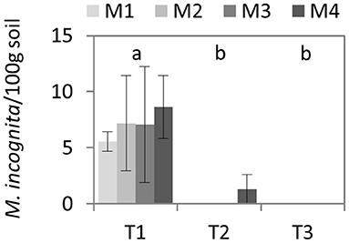 Sunflower Seed Husk as Promising By-Product for Soil Biodisinfestation Treatments and Fertility Improvement in Protected Lettuce Crop